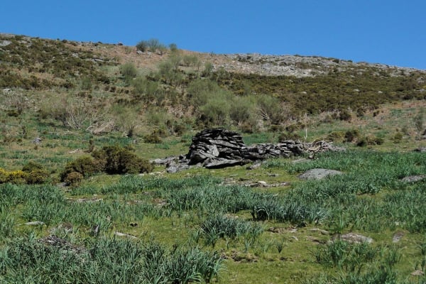 Foto 9 da atividade Galeria de Fotos