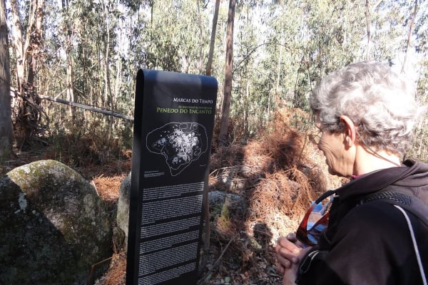 Foto 104 da atividade Galeria de Fotos