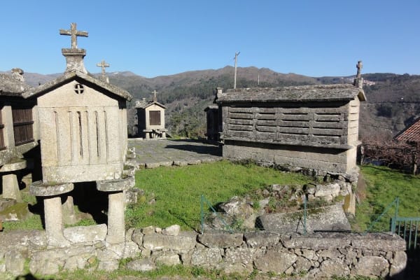 Foto 95 da atividade Galeria de Fotos