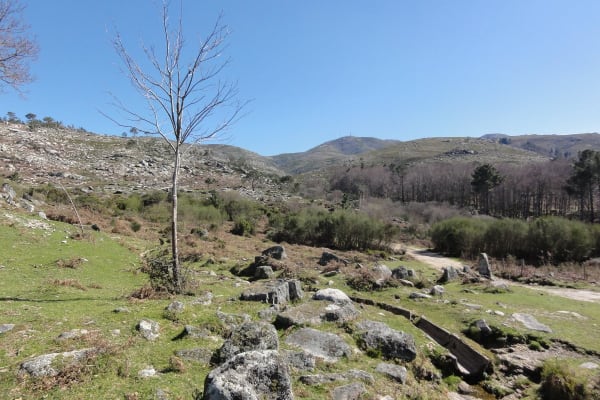 Foto 89 da atividade Galeria de Fotos