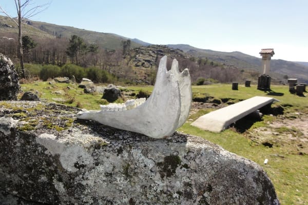 Foto 80 da atividade Galeria de Fotos