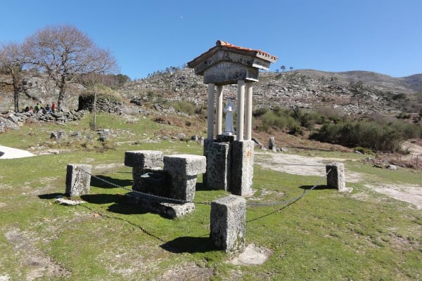 Foto 64 da atividade Galeria de Fotos