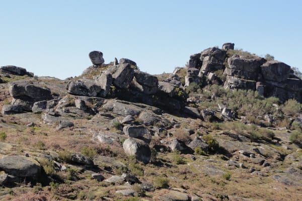 Foto 46 da atividade Galeria de Fotos