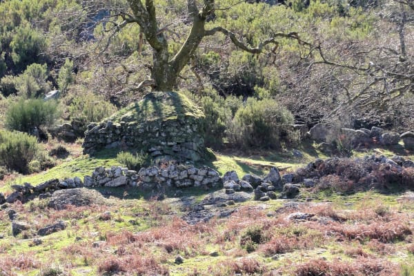 Foto 49 da atividade Galeria de Fotos