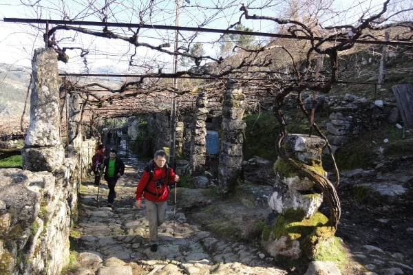 Foto 18 da atividade Galeria de Fotos