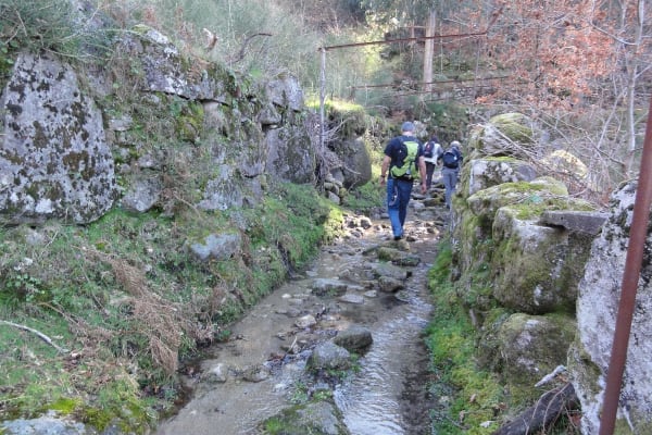 Foto 10 da atividade Galeria de Fotos