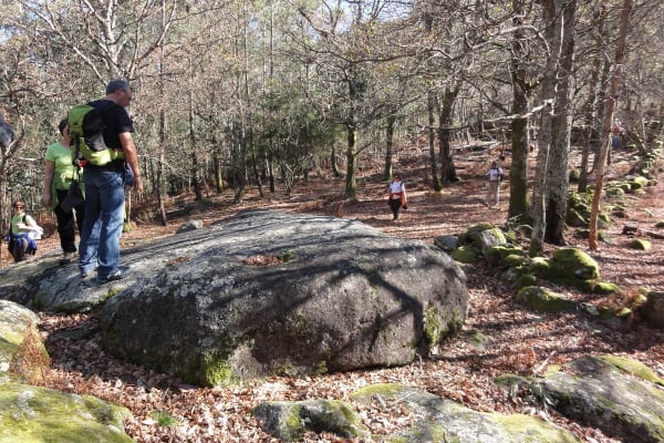 Foto 9 da atividade Galeria de Fotos