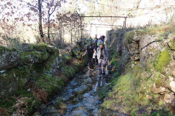 Foto 3 da atividade Galeria de Fotos