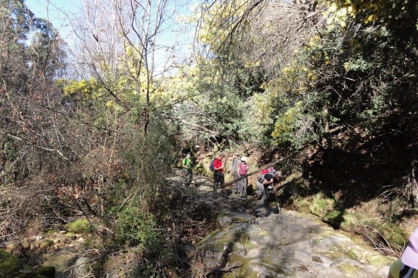 Foto 1 da atividade Galeria de Fotos