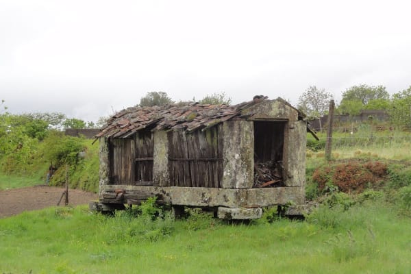 Foto 146 da atividade Galeria de Fotos