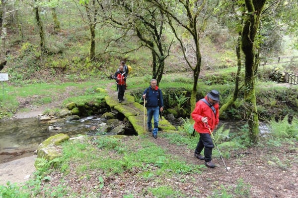 Foto 126 da atividade Galeria de Fotos