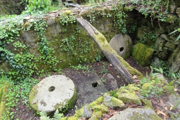 Foto 120 da atividade Galeria de Fotos