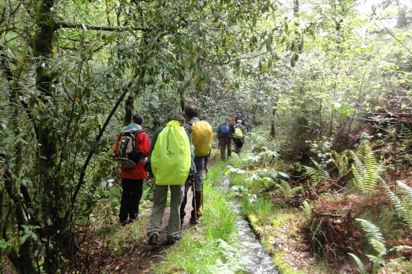 Foto 112 da atividade Galeria de Fotos