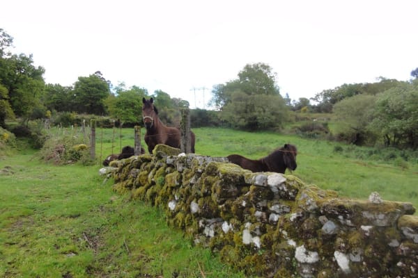 Foto 108 da atividade Galeria de Fotos