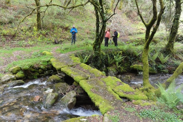 Foto 106 da atividade Galeria de Fotos