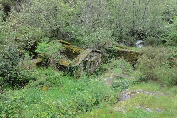 Foto 102 da atividade Galeria de Fotos