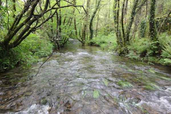 Foto 101 da atividade Galeria de Fotos