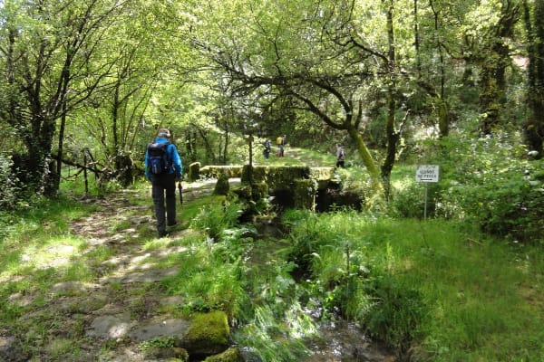 Foto 99 da atividade Galeria de Fotos