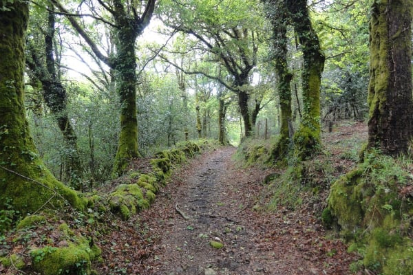 Foto 96 da atividade Galeria de Fotos