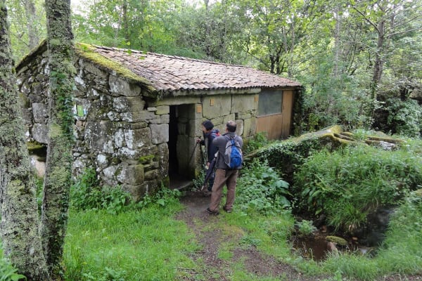 Foto 78 da atividade Galeria de Fotos