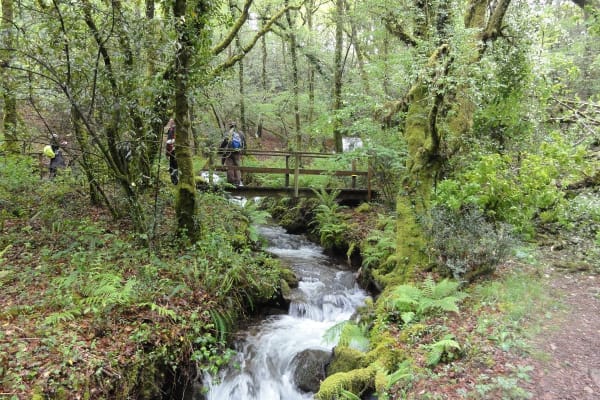 Foto 73 da atividade Galeria de Fotos