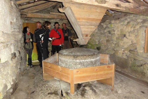 Foto 62 da atividade Galeria de Fotos