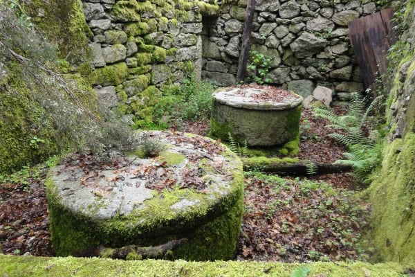 Foto 61 da atividade Galeria de Fotos