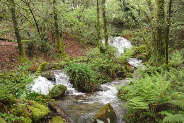 Foto 54 da atividade Galeria de Fotos