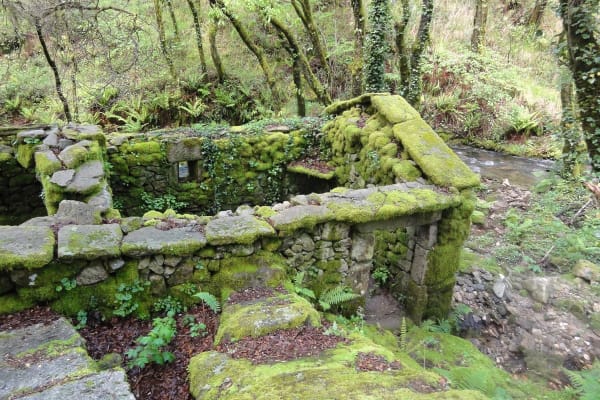 Foto 53 da atividade Galeria de Fotos