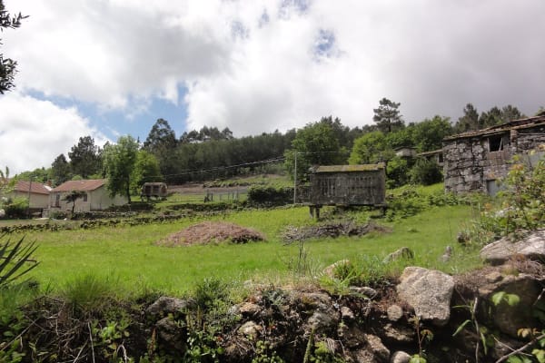 Foto 43 da atividade Galeria de Fotos