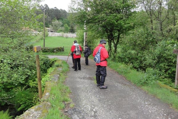 Foto 39 da atividade Galeria de Fotos