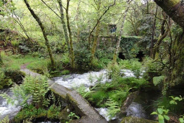 Foto 35 da atividade Galeria de Fotos