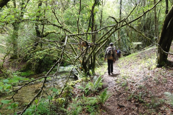 Foto 21 da atividade Galeria de Fotos