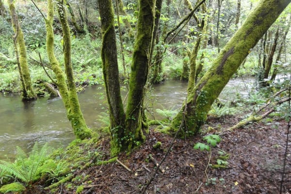 Foto 19 da atividade Galeria de Fotos