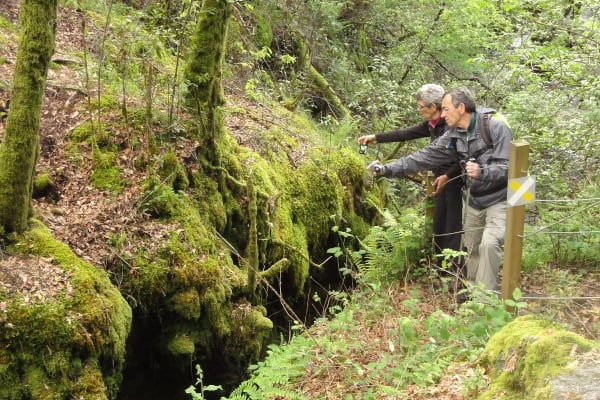 Foto 6 da atividade Galeria de Fotos