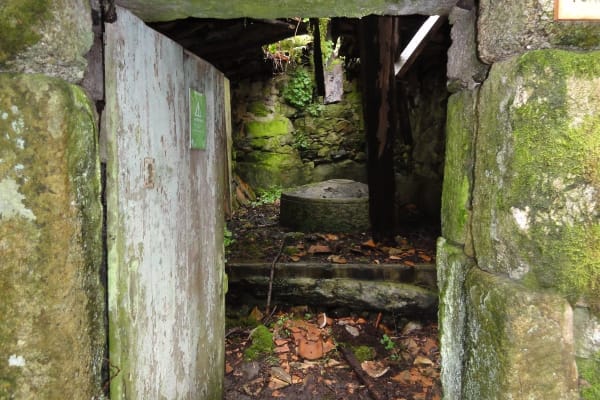 Foto 4 da atividade Galeria de Fotos