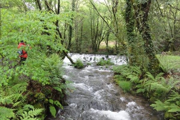 Foto 5 da atividade Galeria de Fotos