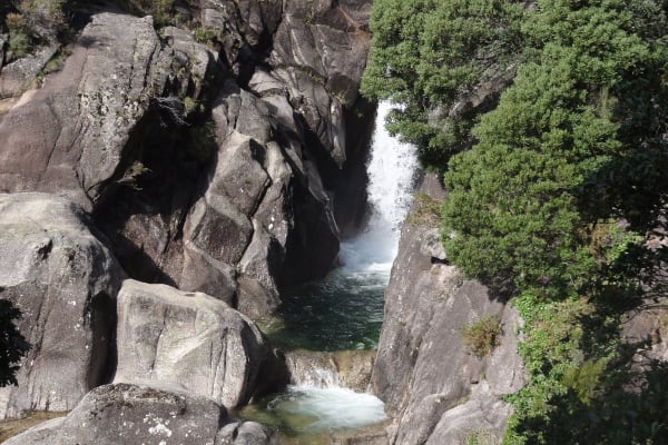 Foto 99 da atividade Galeria de Fotos