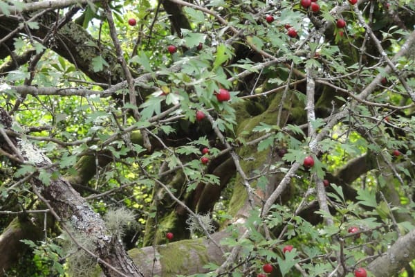 Foto 87 da atividade Galeria de Fotos