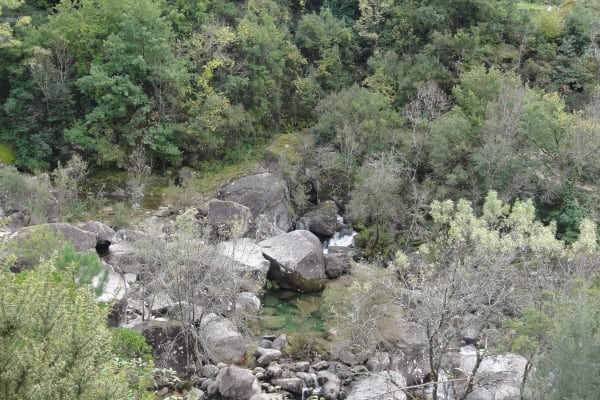 Foto 85 da atividade Galeria de Fotos