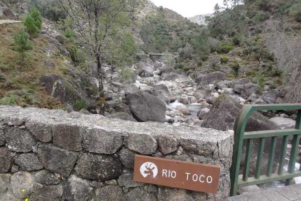 Foto 78 da atividade Galeria de Fotos