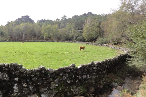 Foto 51 da atividade Galeria de Fotos