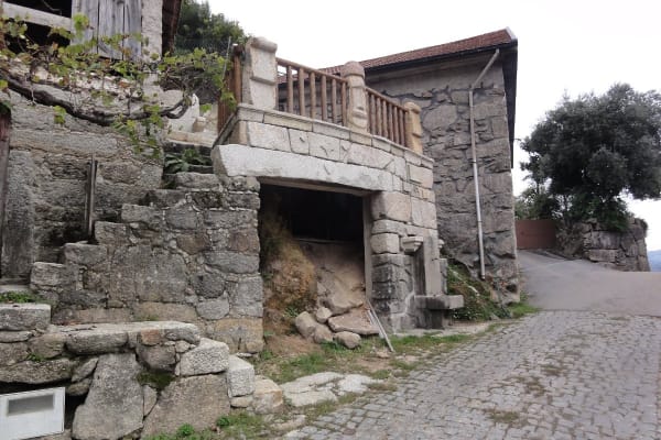 Foto 47 da atividade Galeria de Fotos