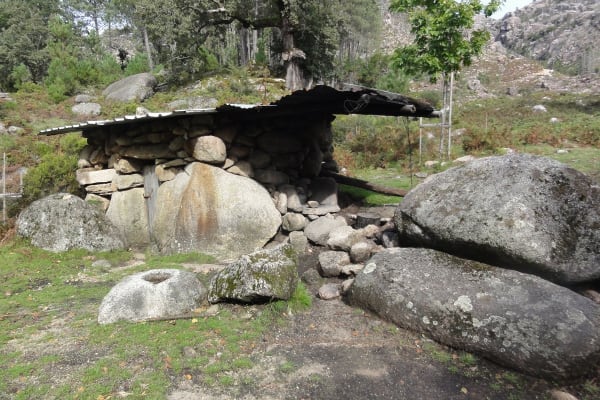 Foto 44 da atividade Galeria de Fotos