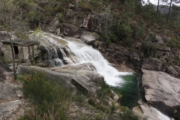 Foto 46 da atividade Galeria de Fotos