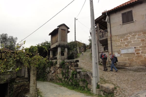 Foto 40 da atividade Galeria de Fotos