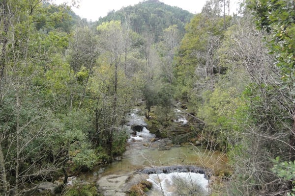 Foto 25 da atividade Galeria de Fotos