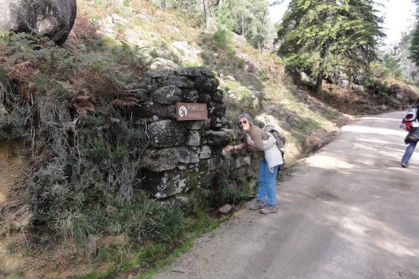 Foto 8 da atividade Galeria de Fotos