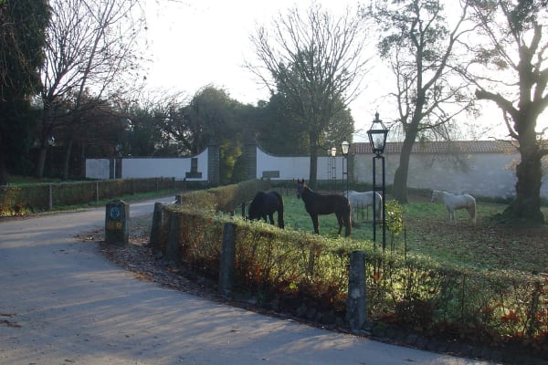 Foto 70 da atividade Galeria de Fotos