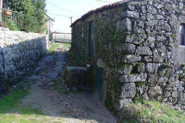 Foto 71 da atividade Galeria de Fotos